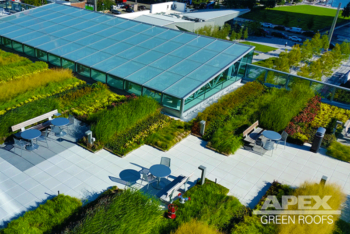 101 Seaport Amenity deck rooftop garden