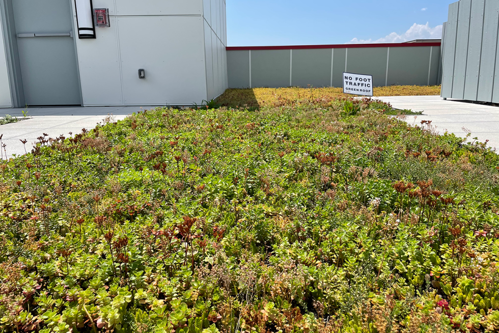 The Moderne Condominium Amenity Deck Green Roof - Apex Green Roofs - High-End Condos With Green Rooftop Decks