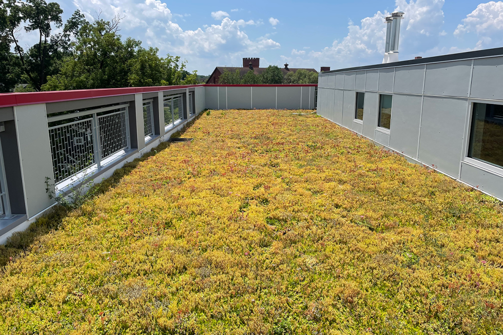 The Moderne Condominium Amenity Deck Green Roof - Apex Green Roofs - Green Roofs For Multifamily Complexes