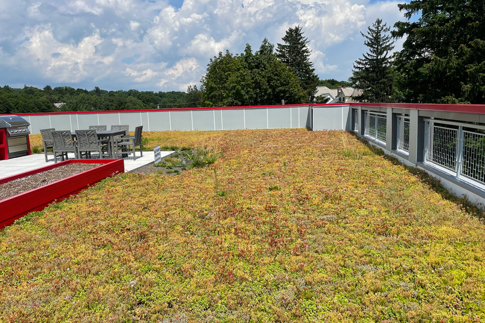 Condo Living Green Roof