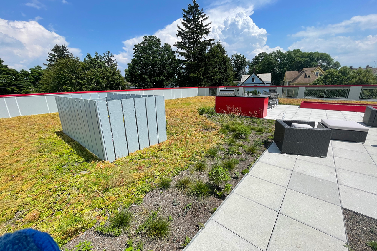 The Moderne Condominium Amenity Deck Green Roof - Apex Green Roofs - Architectural Green Roofs For Condos